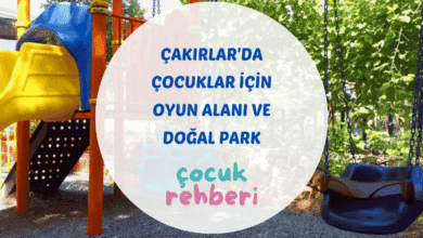 Çakırlar çocuk oyun alanı palyaço etkinliği ve çim bahçe Begonvil Plus