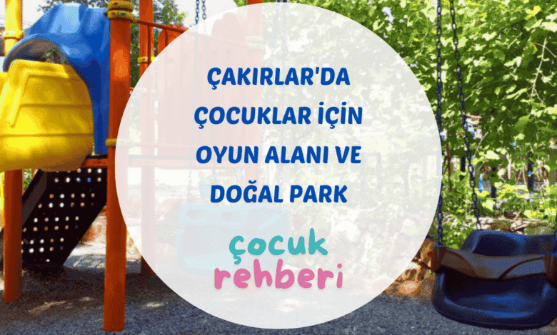 Çakırlar çocuk oyun alanı palyaço etkinliği ve çim bahçe Begonvil Plus