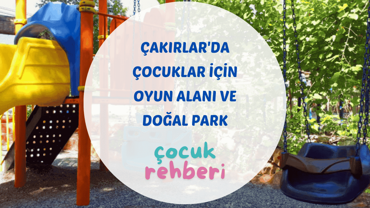 Çakırlar çocuk oyun alanı palyaço etkinliği ve çim bahçe Begonvil Plus